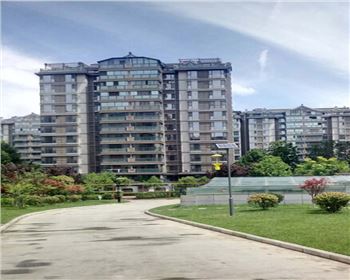 太陽(yáng)能殺蟲(chóng)燈-陜西省西安市曲江南湖小區(qū)路燈項(xiàng)目